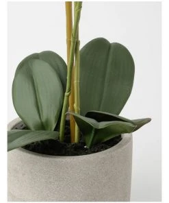 Heritage Real Touch Phalaenopsis 61cm White -The Shine Nook Sales Store 852151780 3 720x928