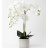 Heritage Real Touch Phalaenopsis 70cm White