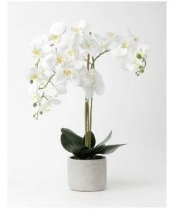 Heritage Real Touch Phalaenopsis 70cm White