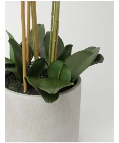 Heritage Real Touch Phalaenopsis 80cm 5 Stem White -The Shine Nook Sales Store 852152050 3 720x928