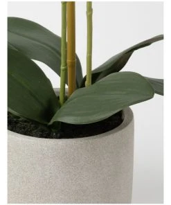 Heritage Real Touch Phalaenopsis 61cm Pink -The Shine Nook Sales Store 852152140 3 720x928