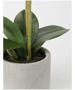 Heritage Real Touch Phalaenopsis 45cm 1 Stem Pink -The Shine Nook Sales Store 852152230 3 720x928