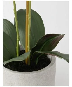 Heritage Real Touch Phalaenopsis 61cm Purple -The Shine Nook Sales Store 852152320 3 720x928