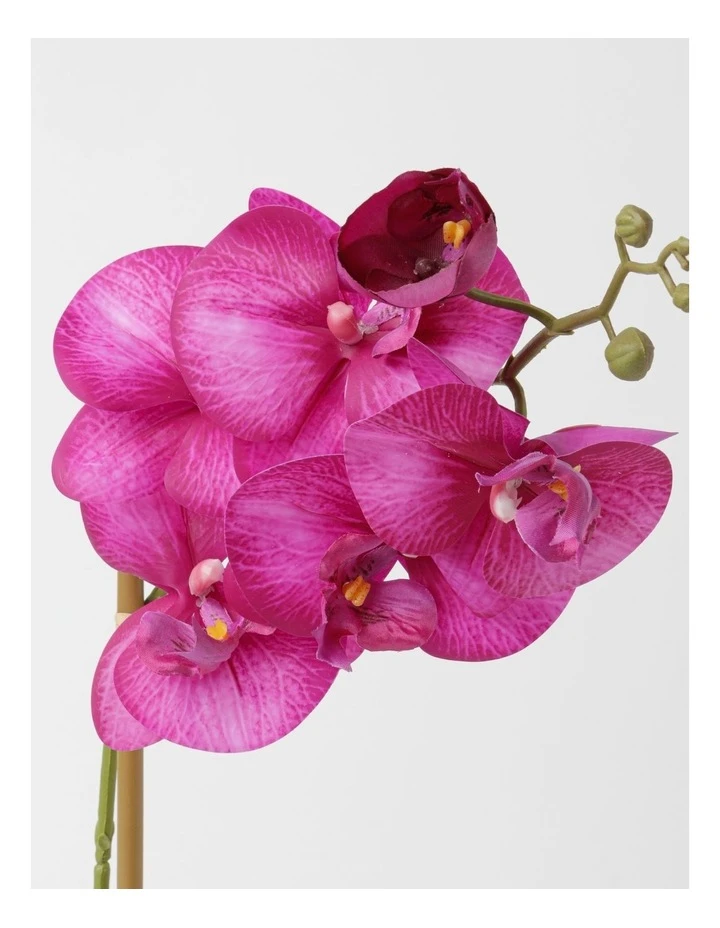 Heritage Real Touch Phalaenopsis 45cm 1 Stem Purple 2 Heritage Real Touch Phalaenopsis 45cm 1 Stem Purple - Image 2