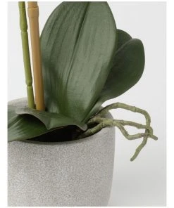 Heritage Real Touch Phalaenopsis 45cm 1 Stem Purple 5 Heritage Real Touch Phalaenopsis 45cm 1 Stem Purple -The Shine Nook Sales Store 852152410 3 720x928