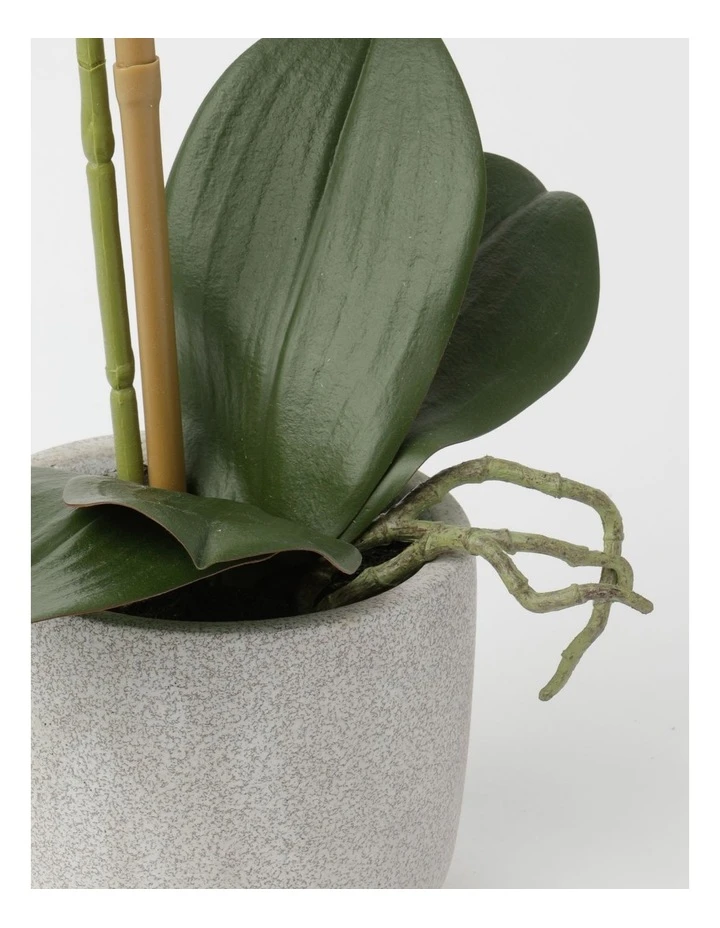 Heritage Real Touch Phalaenopsis 45cm 1 Stem Purple 3 Heritage Real Touch Phalaenopsis 45cm 1 Stem Purple - Image 3