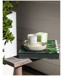 Palm Beach Collection Jasmine & Lime 90g Scented Soy Candle
