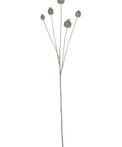 Rogue Poppy Seed Spray