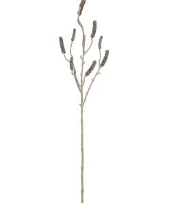 Rogue Callistemon Branch