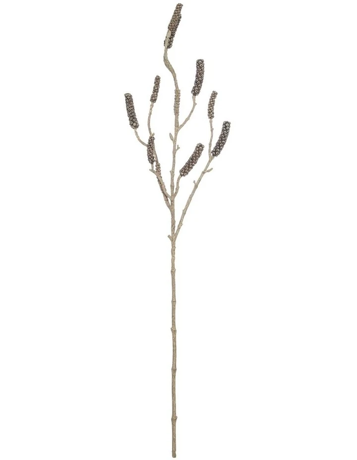 Rogue Callistemon Branch 1 Rogue Callistemon Branch