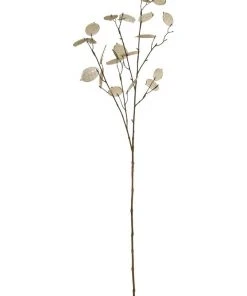 Rogue Silver Dollar Spray