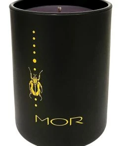 MOR Mr Beaux Jangles Fragrant Candle - Fraser Fir & Sparkling Champagne 250g -The Shine Nook Sales Store 860189590 3 720x928