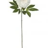 Rogue Heirloom Peony Stem 25x18x79cm White
