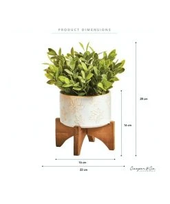 Cooper & Co Artificial Greenery In Ceramic Pot 30cm -The Shine Nook Sales Store 865668160 3 720x928