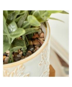 Cooper & Co Artificial Greenery In Ceramic Pot 30cm -The Shine Nook Sales Store 865668160 5 720x928