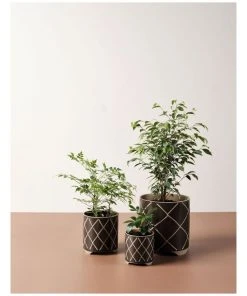 Linen House Estrada Planter Pot 16cm In Coffee 5 Linen House Estrada Planter Pot 16cm In Coffee -The Shine Nook Sales Store 869257900 3 720x928