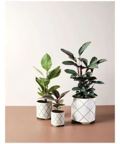 Linen House Estrada Planter Pot 12cm In White 5 Linen House Estrada Planter Pot 12cm In White -The Shine Nook Sales Store 869258080 3 720x928