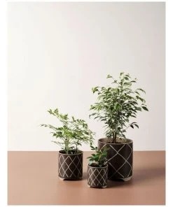 Linen House Estrada Planter Pot 12cm In Coffee 5 Linen House Estrada Planter Pot 12cm In Coffee -The Shine Nook Sales Store 869258170 3 720x928