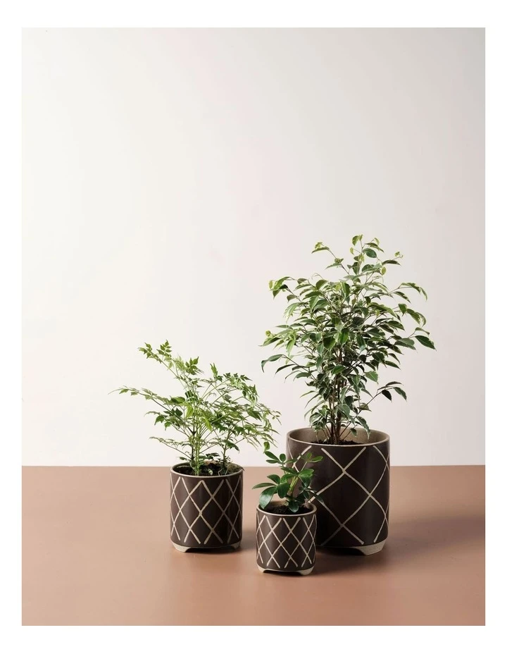 Linen House Estrada Planter Pot 12cm In Coffee 3 Linen House Estrada Planter Pot 12cm In Coffee - Image 3