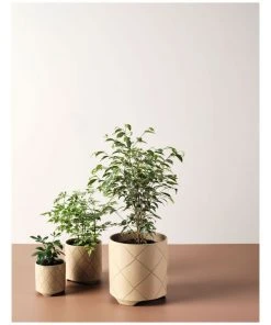 Linen House Estrada Planter Pot 12cm In Caramel -The Shine Nook Sales Store 869258260 3 720x928