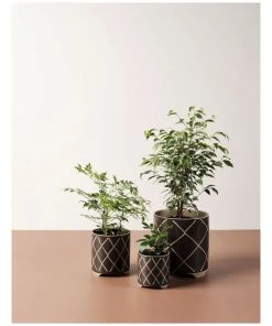 Linen House Estrada Planter Pot 24cm In Coffee 5 Linen House Estrada Planter Pot 24cm In Coffee -The Shine Nook Sales Store 869258440 3 720x928