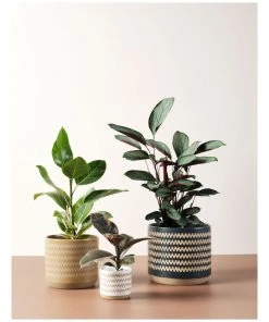 Linen House Dawn Planter Pot 11cm In White -The Shine Nook Sales Store 869258620 3 720x928