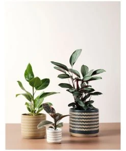 Linen House Dawn Planter Pot 20cm In Mustard -The Shine Nook Sales Store 869258710 3 720x928