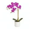 Cooper & Co Artificial Orchid 53Cm In Purple