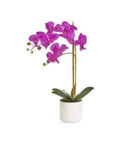 Cooper & Co Artificial Orchid 53Cm In Purple