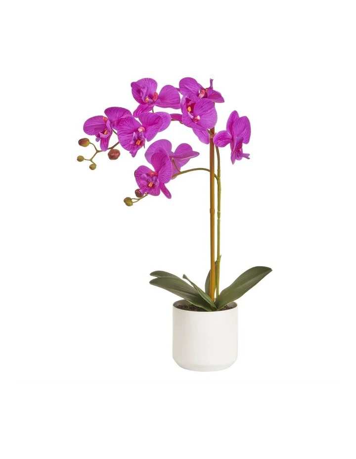 Cooper & Co Artificial Orchid 53Cm In Purple 1 Cooper & Co Artificial Orchid 53Cm In Purple