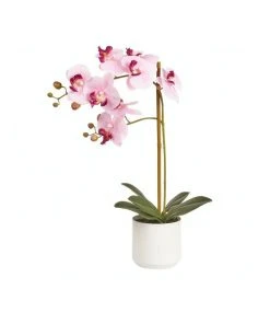Cooper & Co Artificial Orchid 53cm Pink