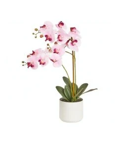 Cooper & Co Artificial Orchid 61cm Pink