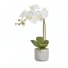 Cooper & Co Artificial Orchid 45cm White