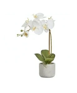 Cooper & Co Artificial Orchid 45cm White