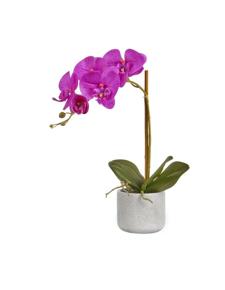 Cooper & Co Artificial Orchid 45Cm Purple 1 Cooper & Co Artificial Orchid 45Cm Purple