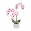 Cooper & Co Artificial Orchid 70cm Pink