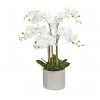 Cooper & Co Artificial Orchid 80cm White