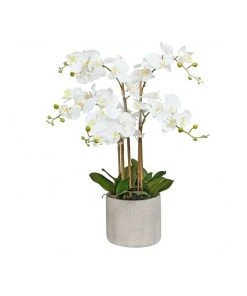Cooper & Co Artificial Orchid 80cm White