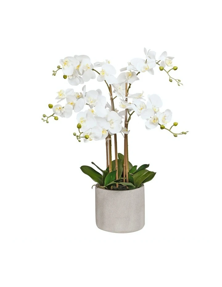 Cooper & Co Artificial Orchid 80cm White 1 Cooper & Co Artificial Orchid 80cm White