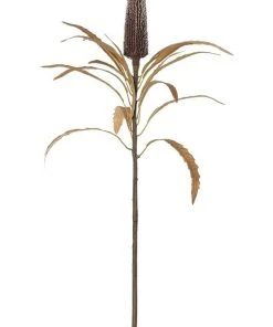 Rogue Deco Banksia Thin Stem 63cm In Dark Brown