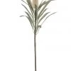 Rogue RB Deco Banksia Thin Stem 63cm In Natural