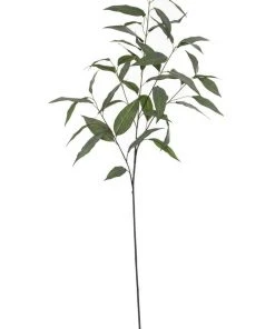 Rogue Gum Spray 94cm in Grey Green