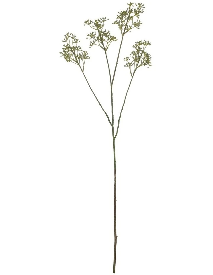 Rogue RB Eucy Seed Spray 62cm In Green 1 Rogue RB Eucy Seed Spray 62cm In Green