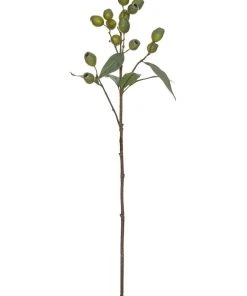 Rogue Gum Nut Spray 67cm In Green