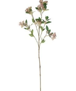 Rogue Seeding Spray 66cm In Pink