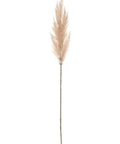 Rogue Pampas Grass Spray 92cm In Soft Pink