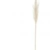 Rogue Pampas Grass Spray 92cm In Off White