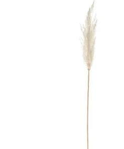 Rogue Pampas Grass Spray 92cm In Off White