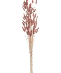 Rogue Preserved BunnyTails 50cm In Dusty Pink