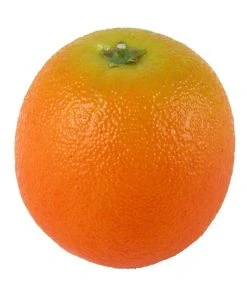 Rogue Orange 8x8x9cm In Orange